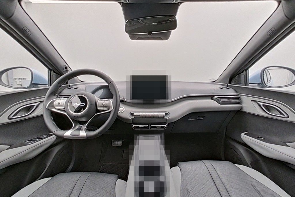 BYD DOLPHIN SURF Comfort foto 11