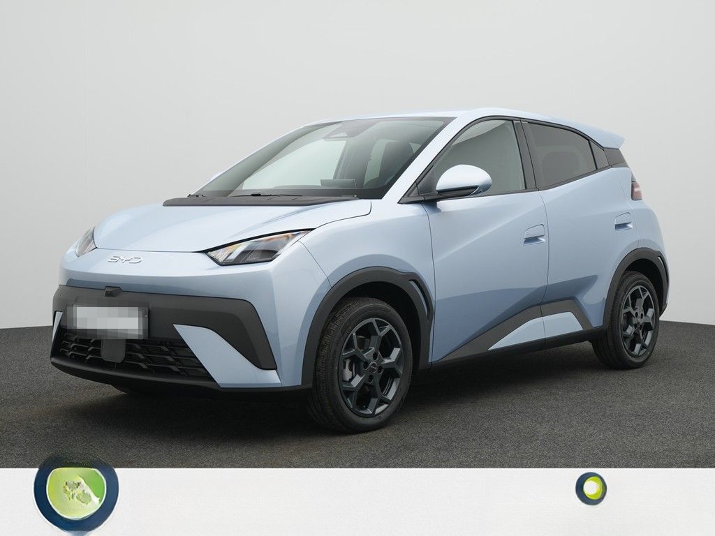 BYD DOLPHIN SURF Comfort foto 3