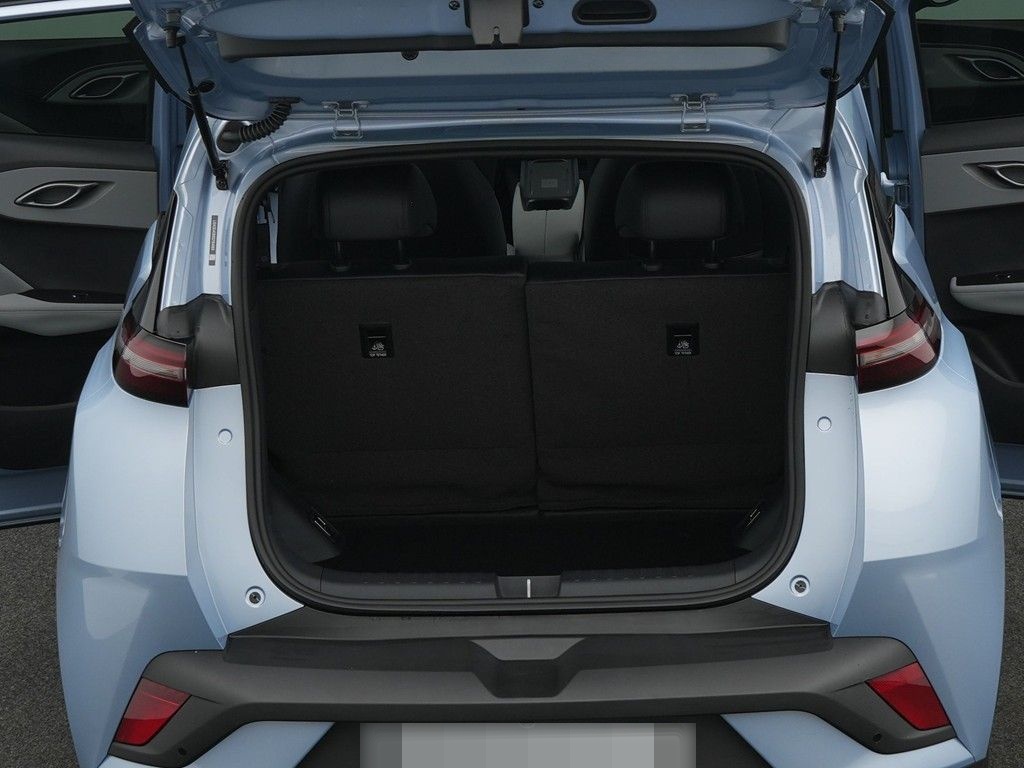 BYD DOLPHIN SURF Comfort foto 8