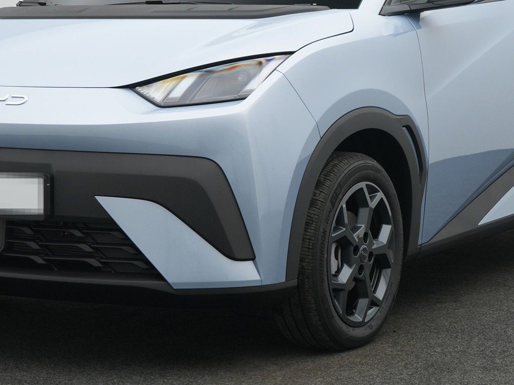 BYD DOLPHIN SURF Comfort foto 10