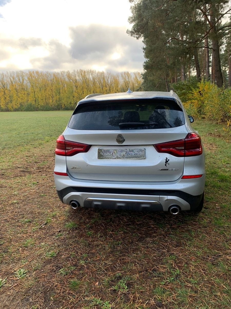 BMW X3 xDrive25d xLine AT xLine foto 4