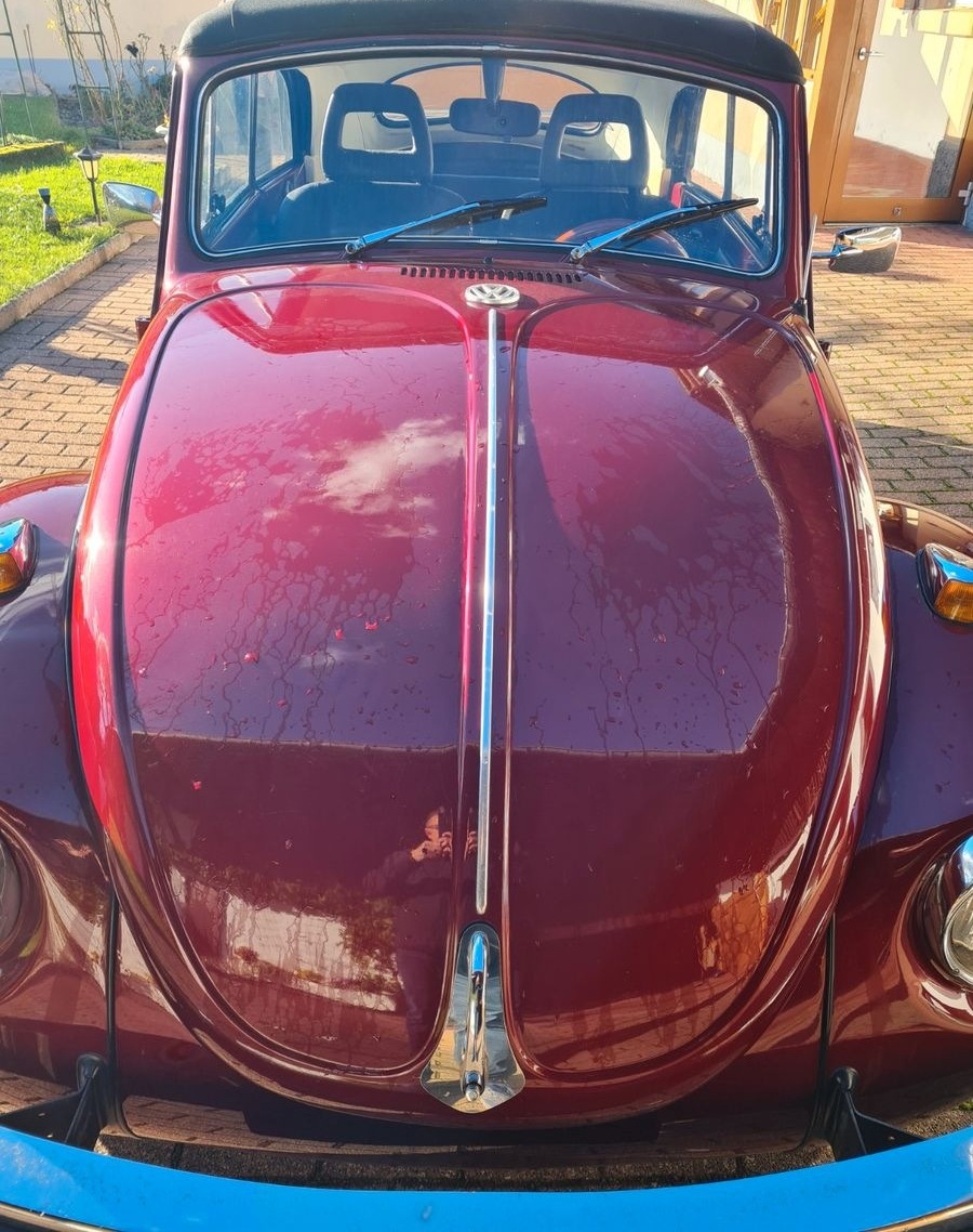Volkswagen Käfer foto 12