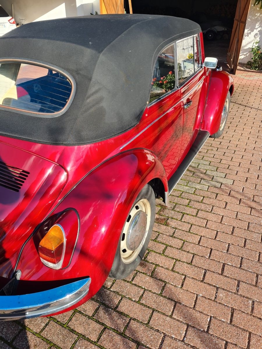 Volkswagen Käfer foto 4