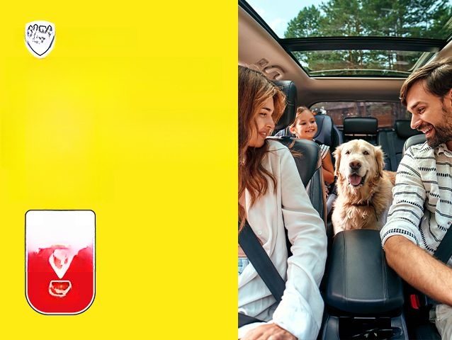 Volkswagen Tiguan 1.5 TSI Comfortline AHK+SHZ+RFK+BLUETOOTH foto 12