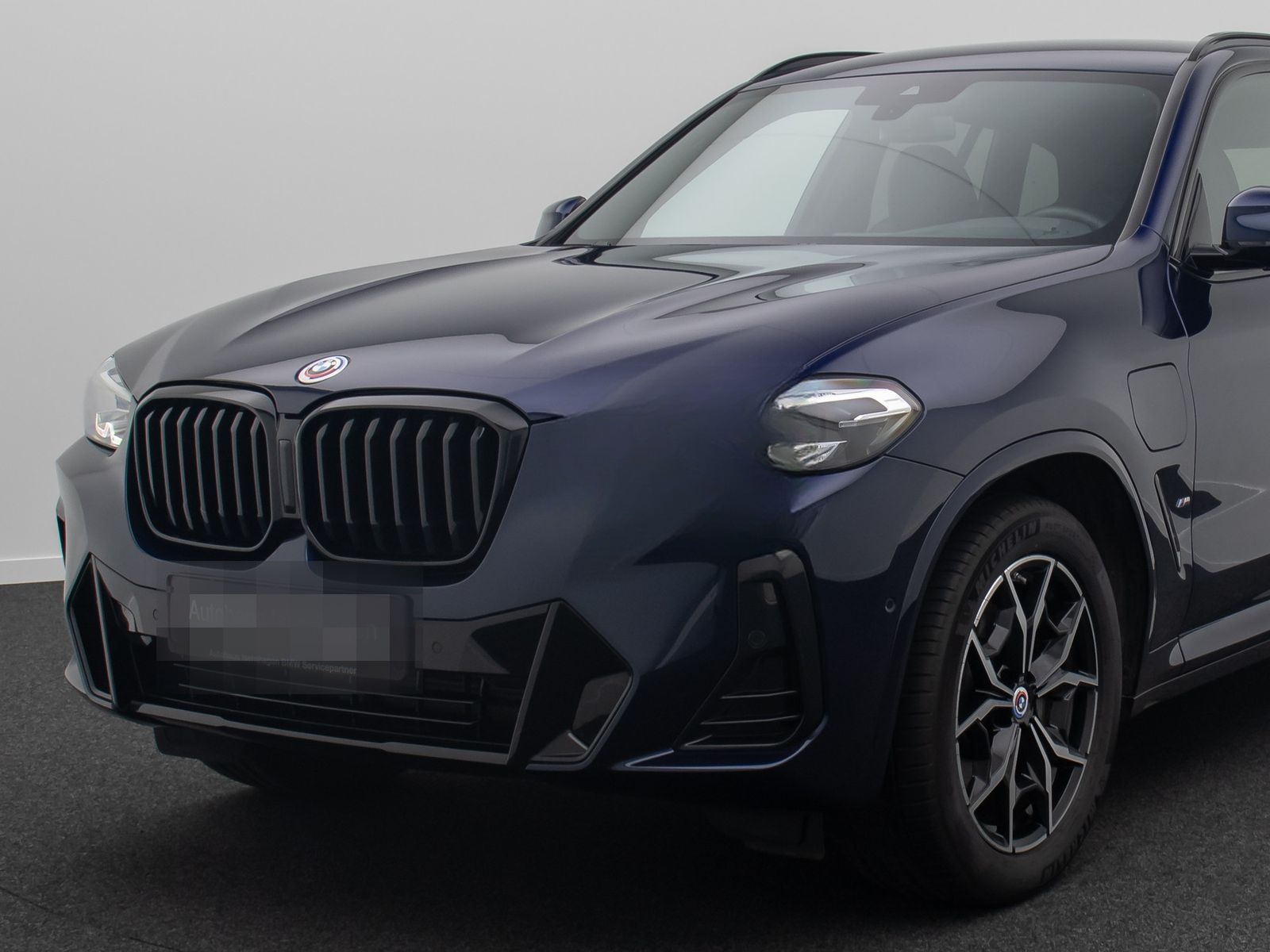 BMW X3 xD30e M Sport Kamera DAB HIFI HUD Individual foto 18