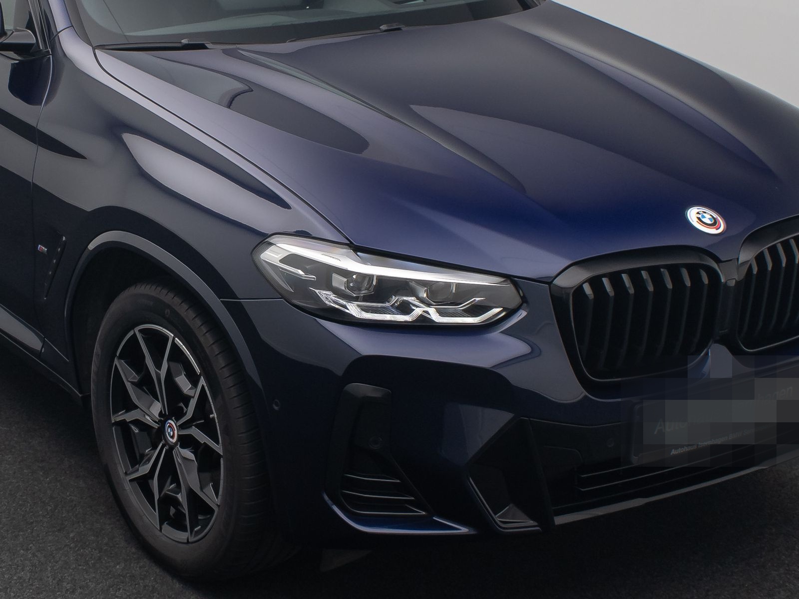 BMW X3 xD30e M Sport Kamera DAB HIFI HUD Individual foto 19