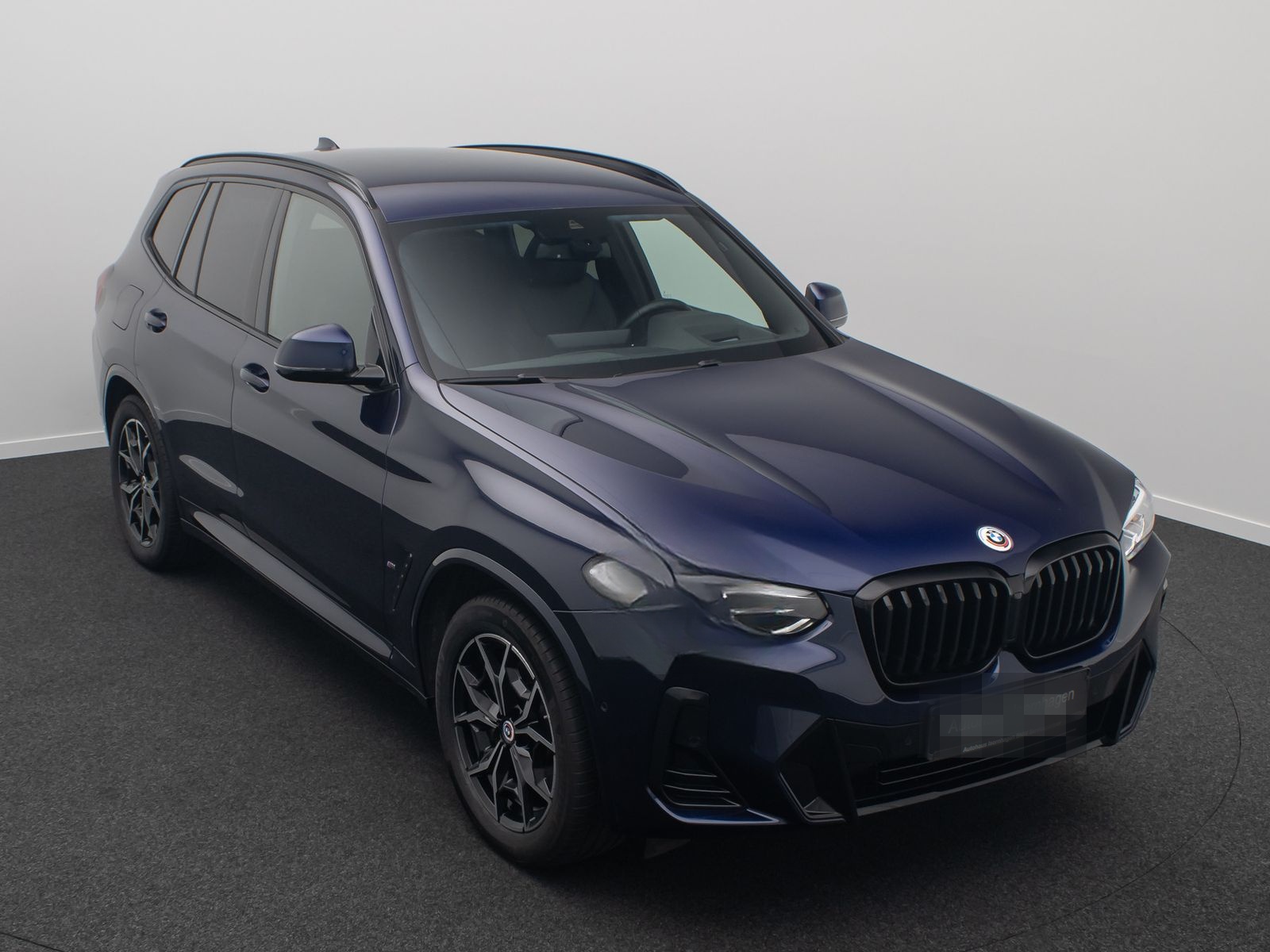 BMW X3 xD30e M Sport Kamera DAB HIFI HUD Individual foto 3