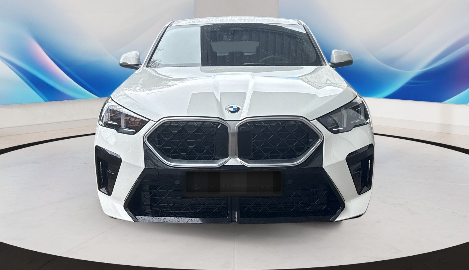 BMW X2 sDrive20i AHK 360° HEAD-UP RFK HIFI LENKRADHZ foto 2