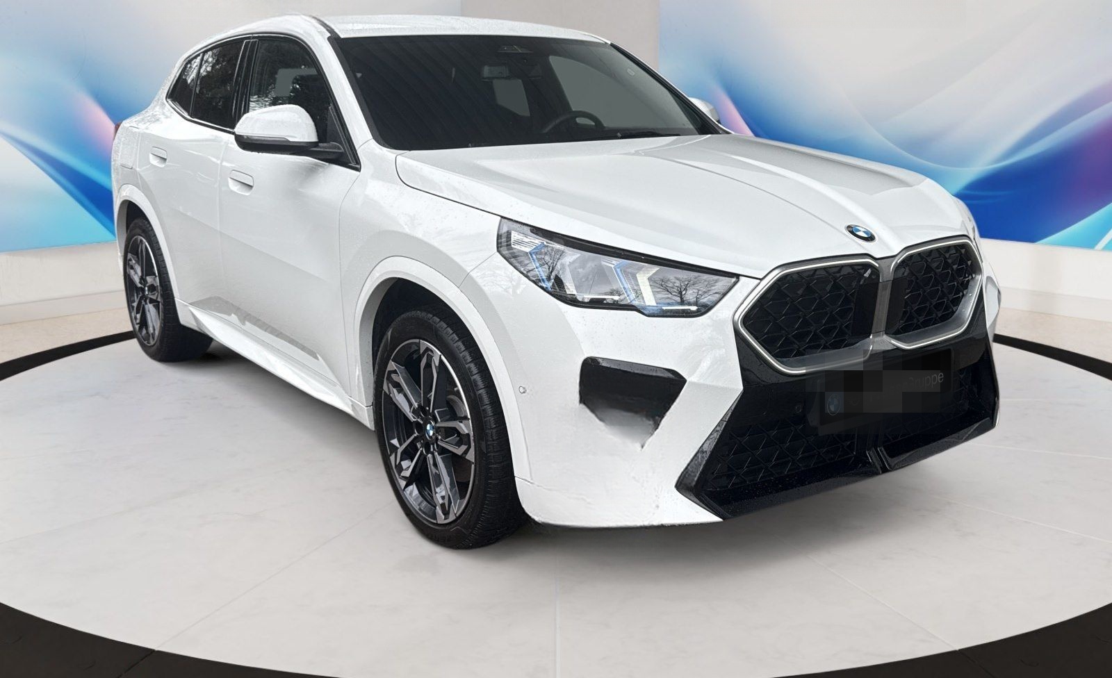 BMW X2 sDrive20i AHK 360° HEAD-UP RFK HIFI LENKRADHZ foto 8