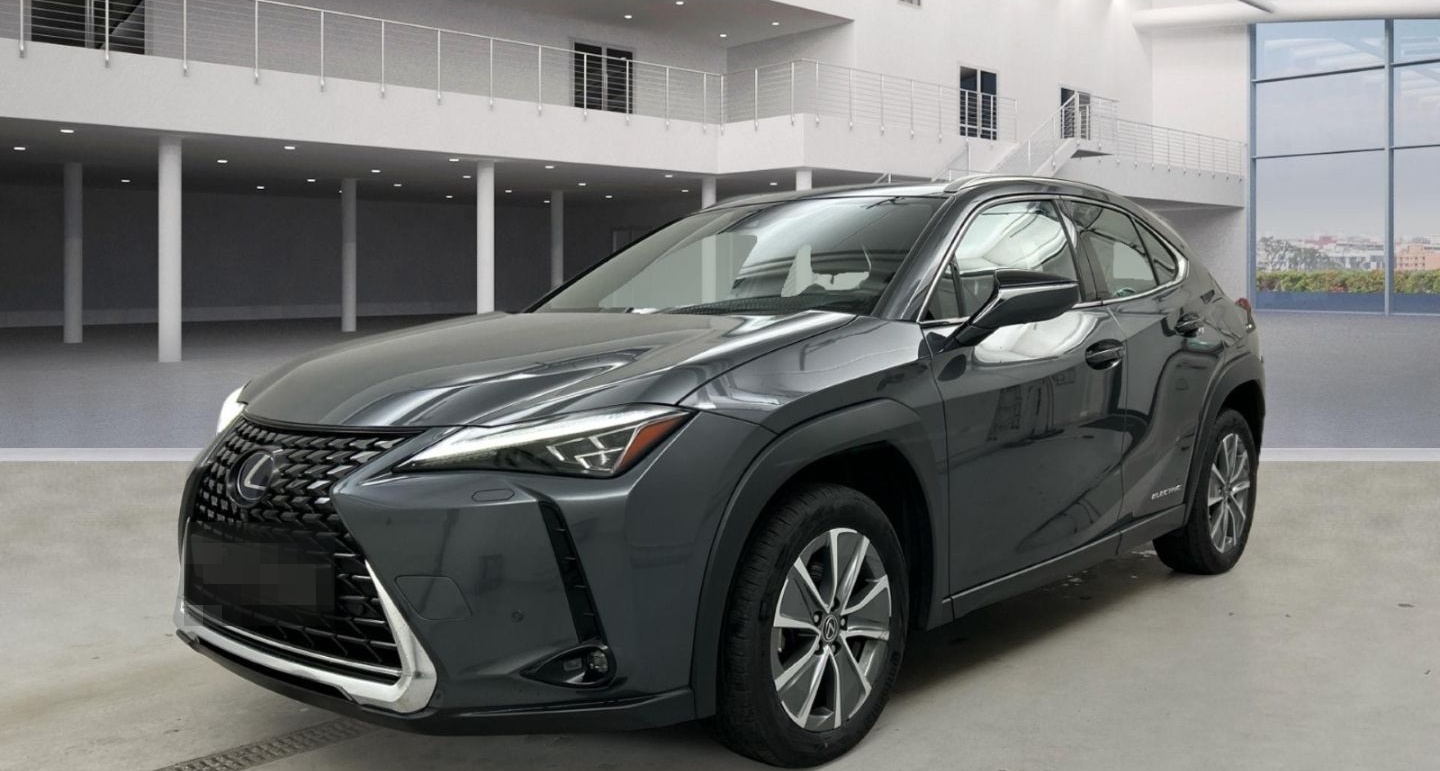 Lexus UX 300e Luxury Line 360 Grad Kamera Mark Levinso
