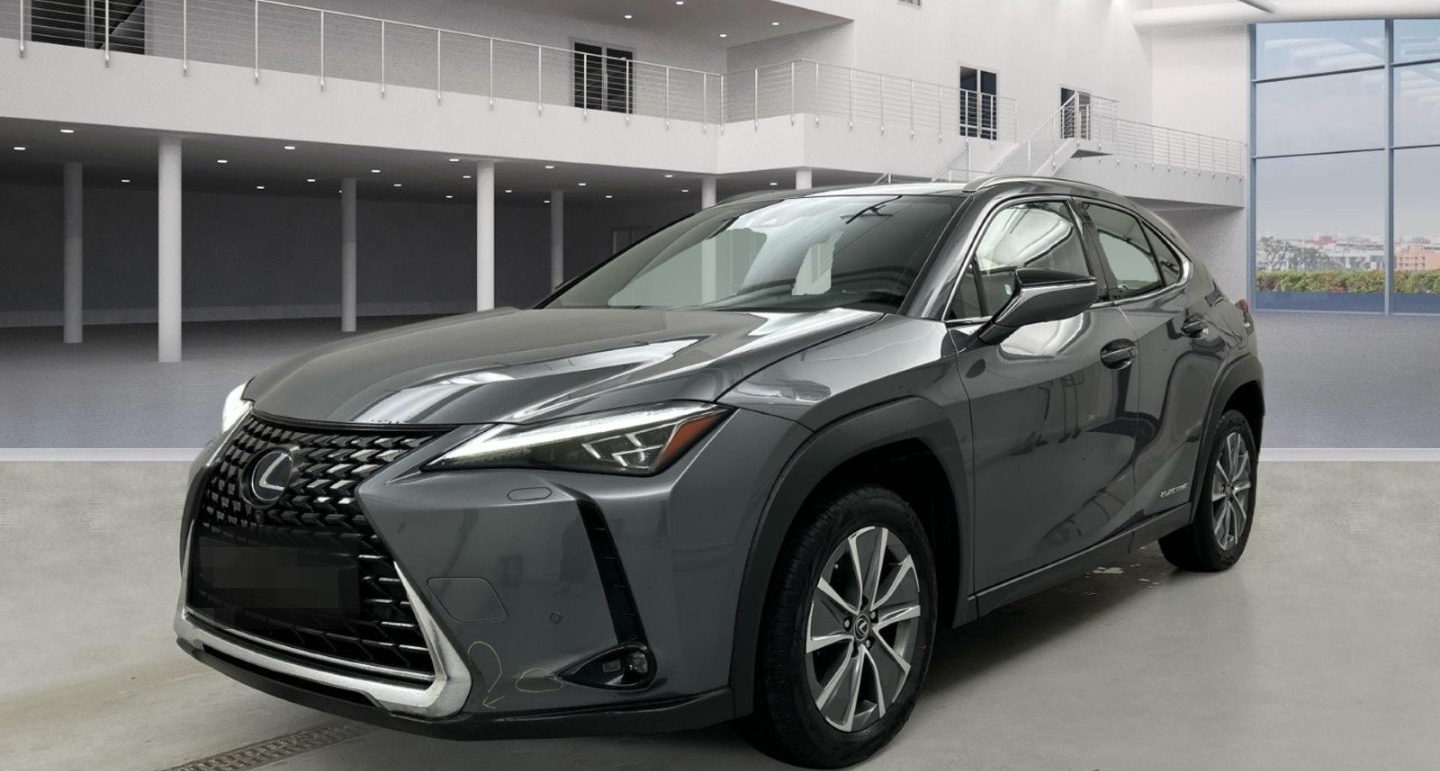 Lexus UX 300e Luxury Line 360 Grad Kamera Mark Levinso