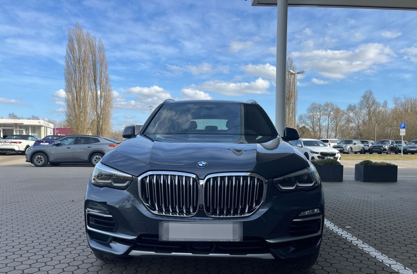 BMW X5 30d xLine/HUD/AHK/Panorama/Navi/HarmanKardon foto 13