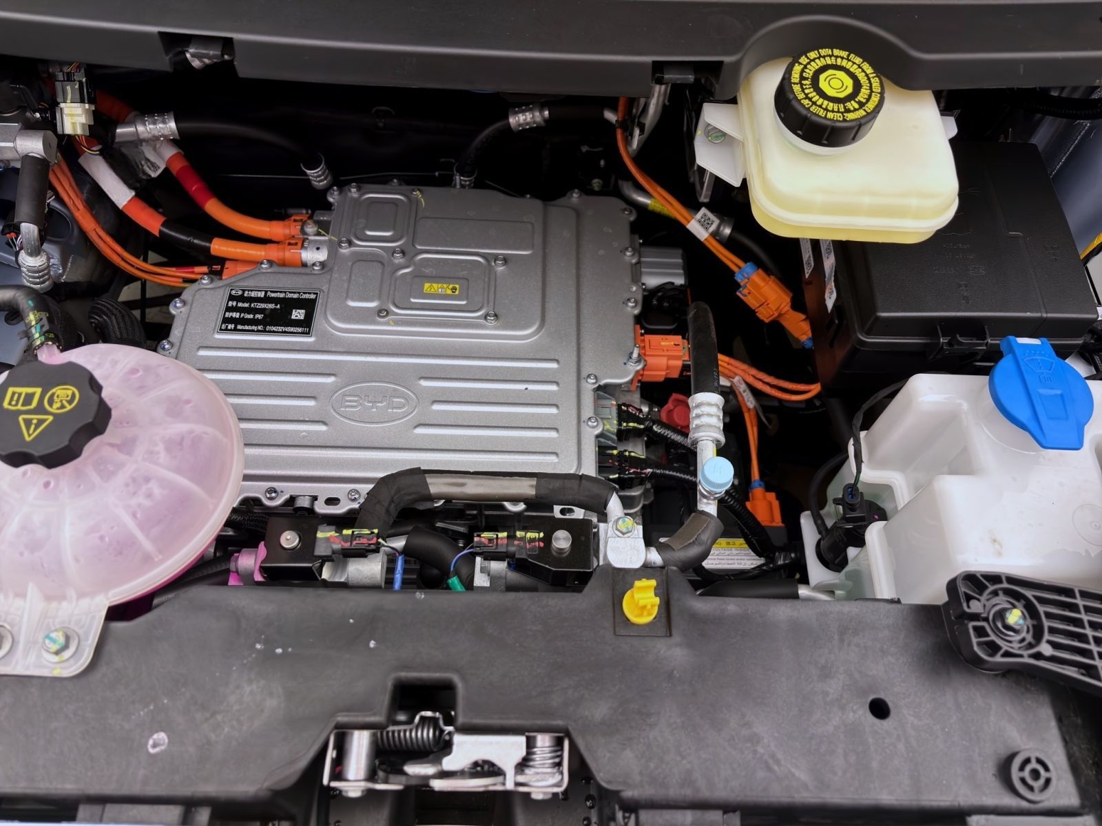 BYD DOLPHIN SURF BOOST NAVI KLIMA LM16 KAMERA PDC foto 18