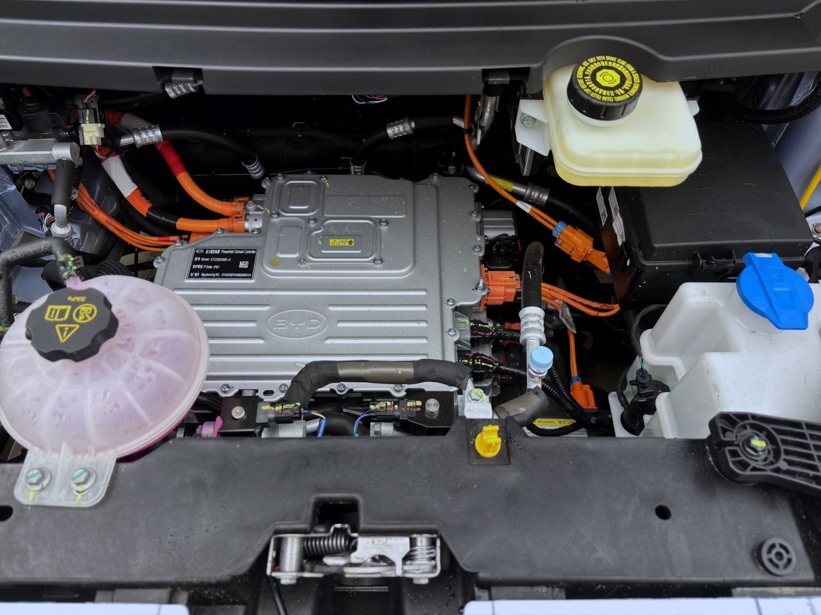 BYD DOLPHIN SURF BOOST NAVI KLIMA LM16 KAMERA PDC foto 18