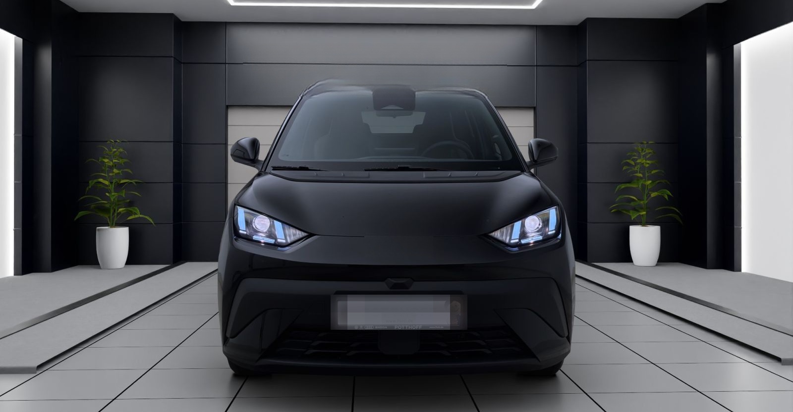 BYD DOLPHIN SURF BOOST NAVI KLIMA LM16 KAMERA PDC foto 7