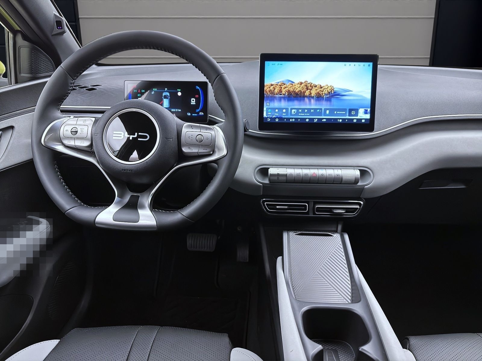 BYD DOLPHIN SURF BOOST NAVI KLIMA LM16 KAMERA PDC foto 13