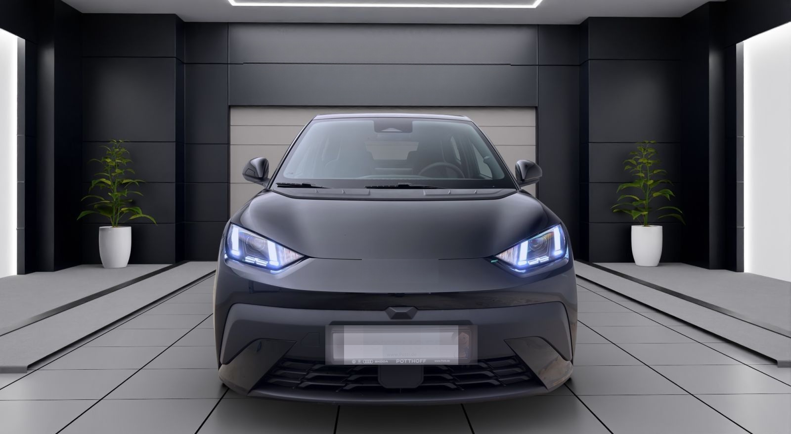 BYD DOLPHIN SURF BOOST NAVI KLIMA LM16 KAMERA PDC foto 7