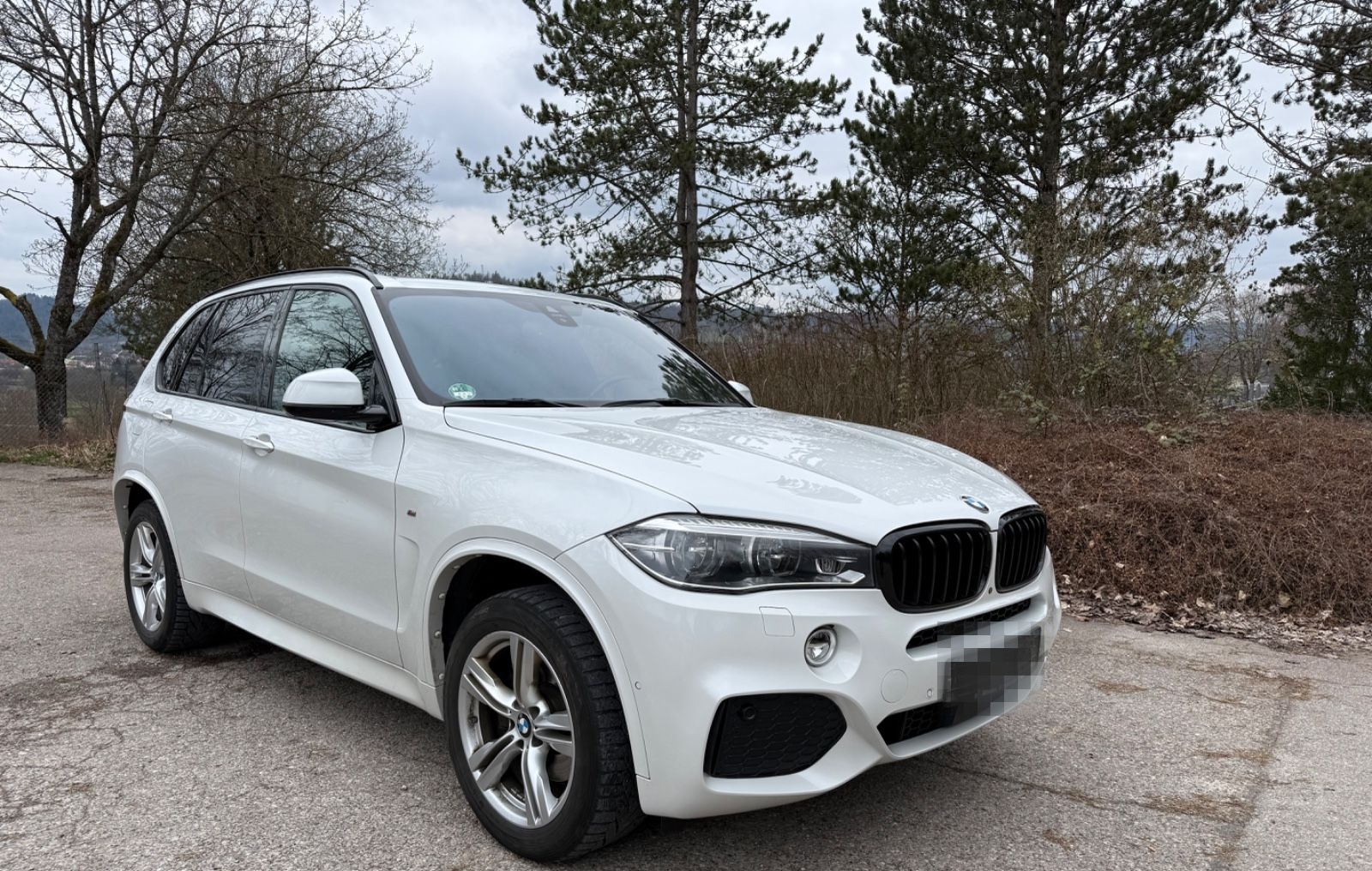 BMW X5 xDrive40d M Paket Sport foto 2