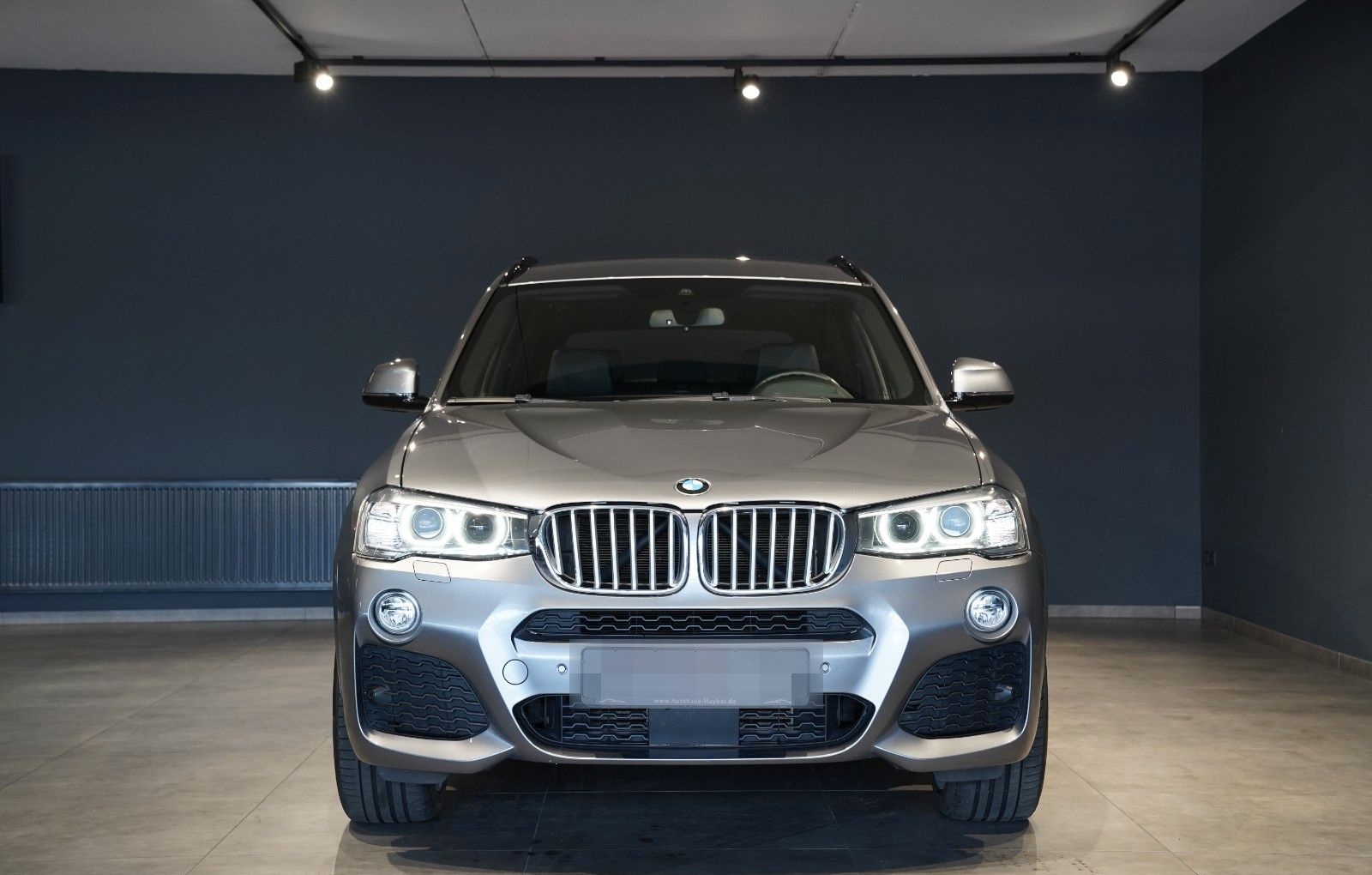 BMW X3 xD 20d M Sport Navi Xen Kamera HuD ACC foto 2