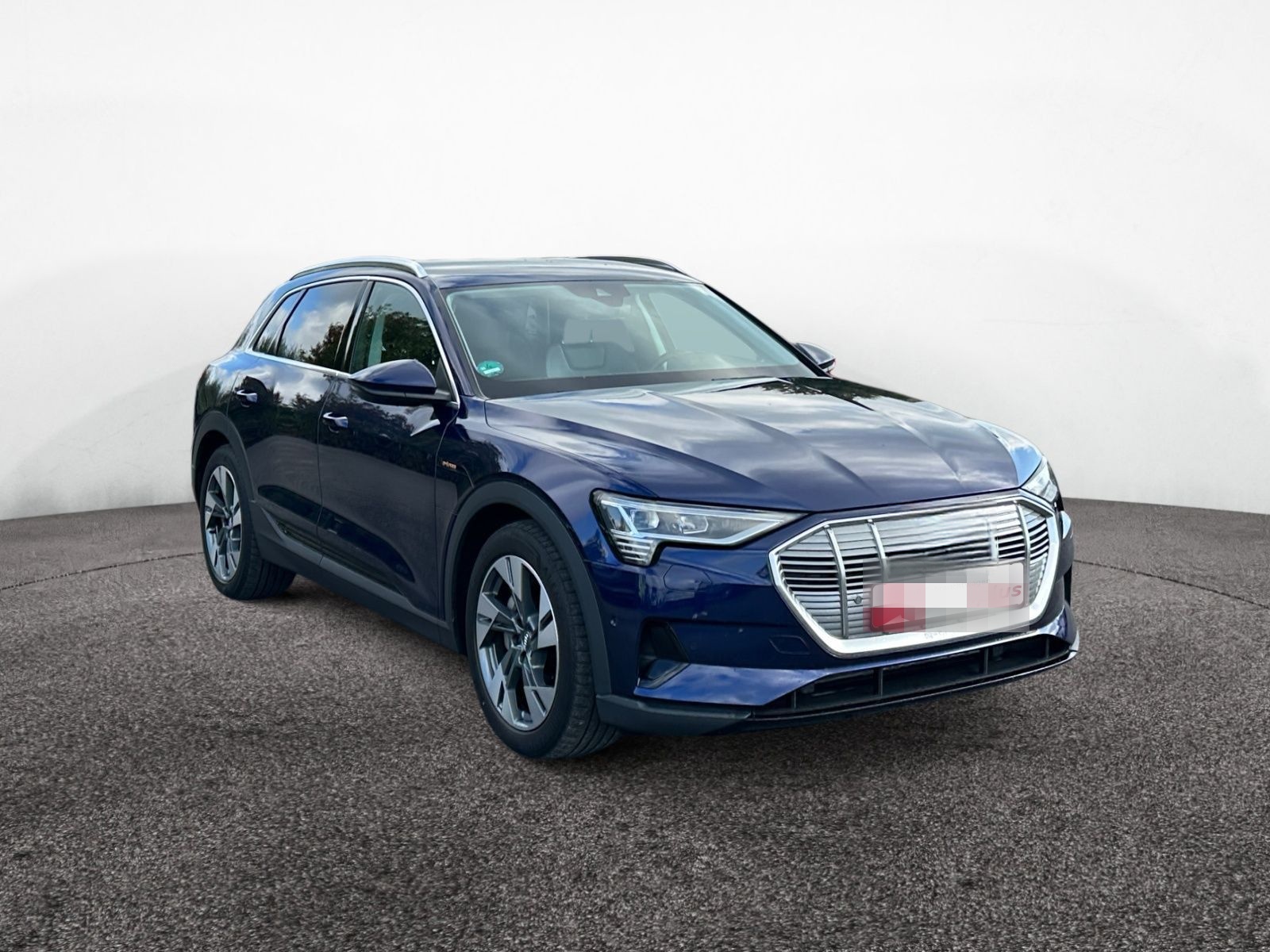 Audi e-tron 50 quattro ACC Keyless Kamera Teilleder foto 8