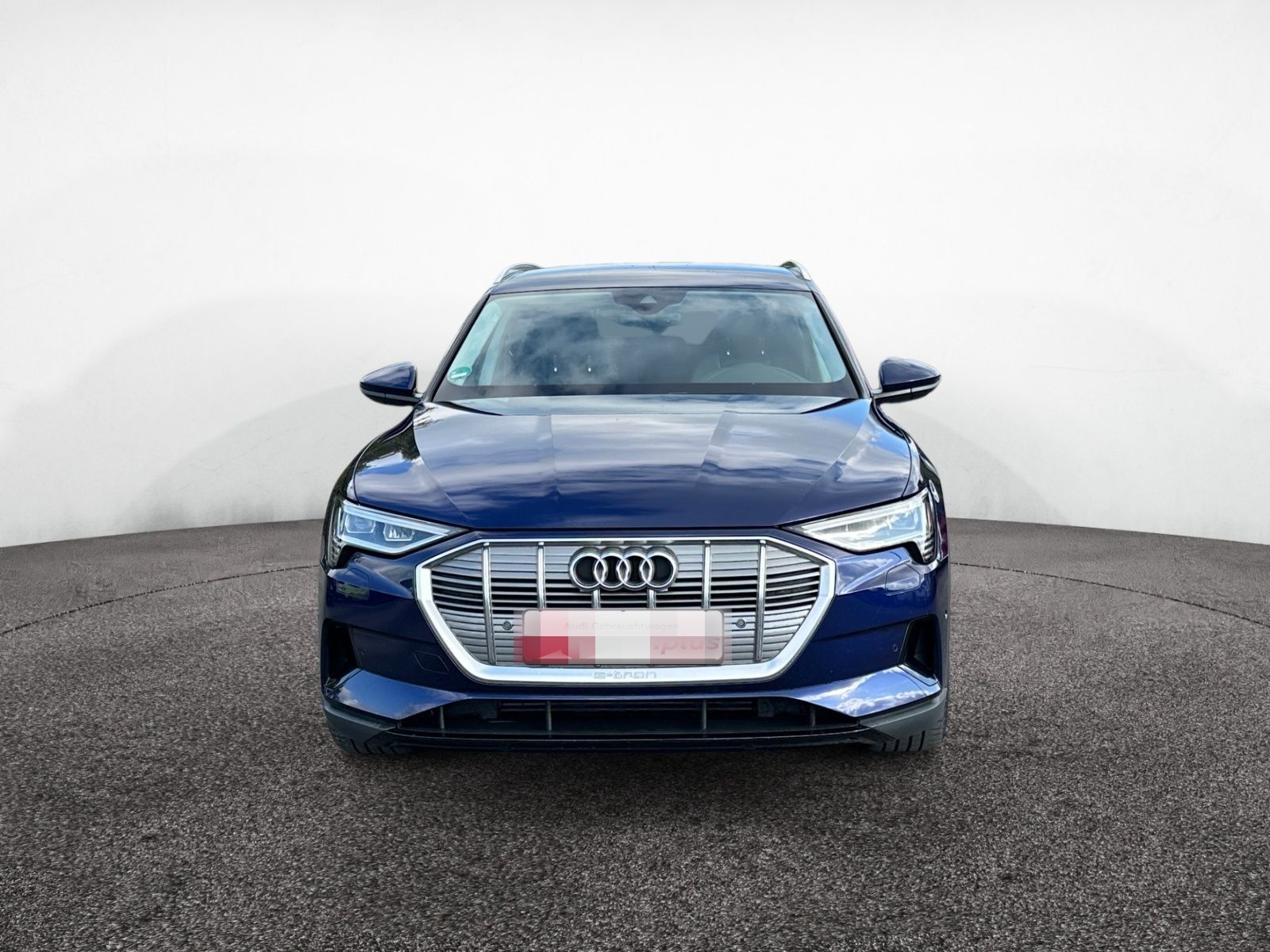 Audi e-tron 50 quattro ACC Keyless Kamera Teilleder foto 9