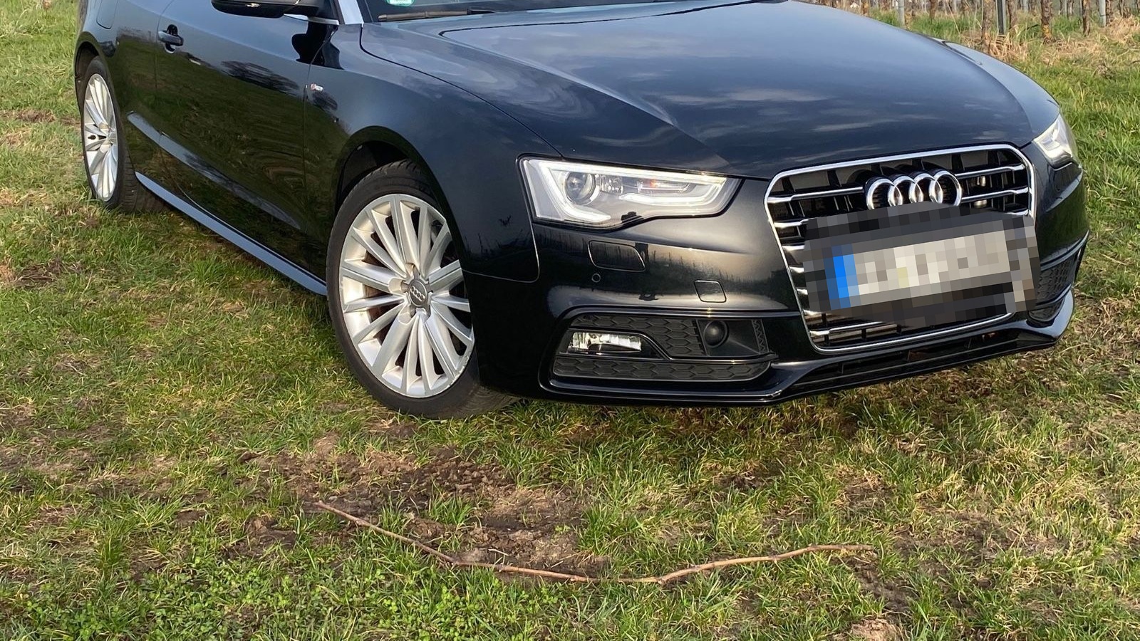 Audi Cabriolet foto 6