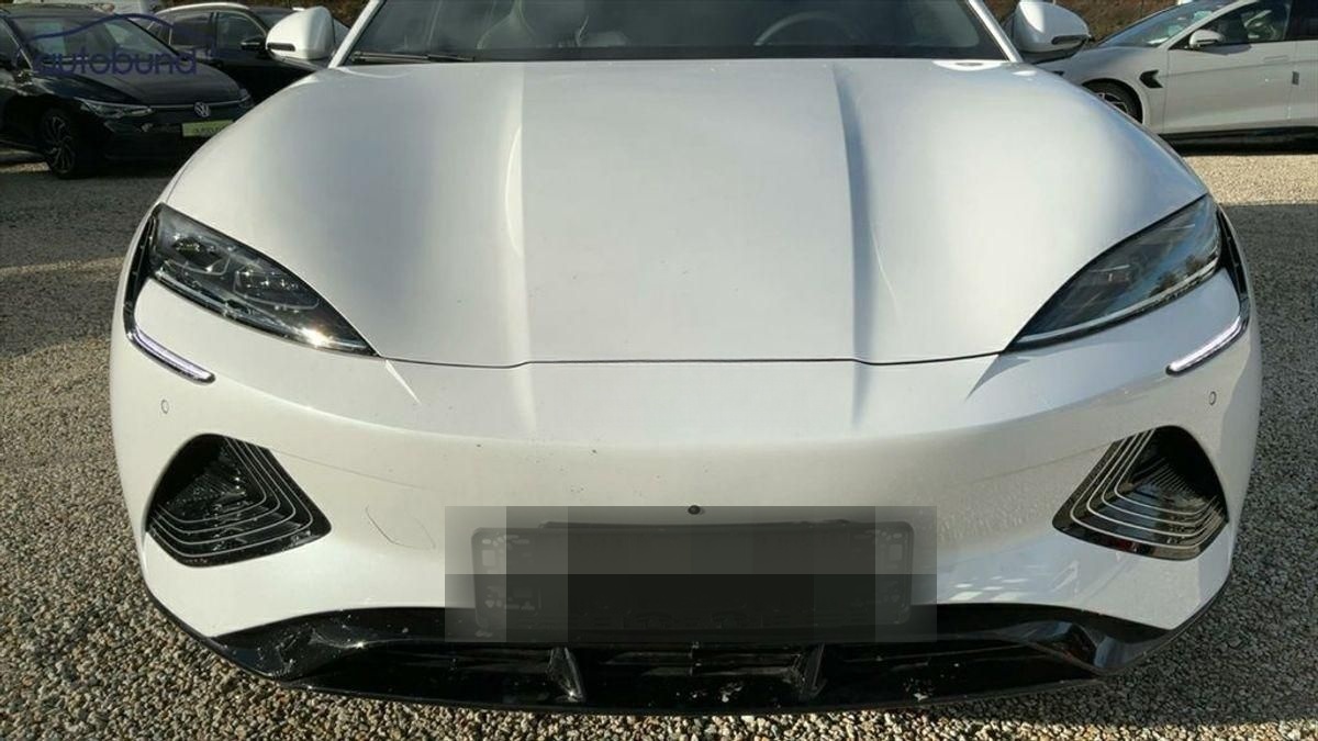 BYD Seal Design Wärmepumpe Alu KA LED Link LRH NAV N foto 6