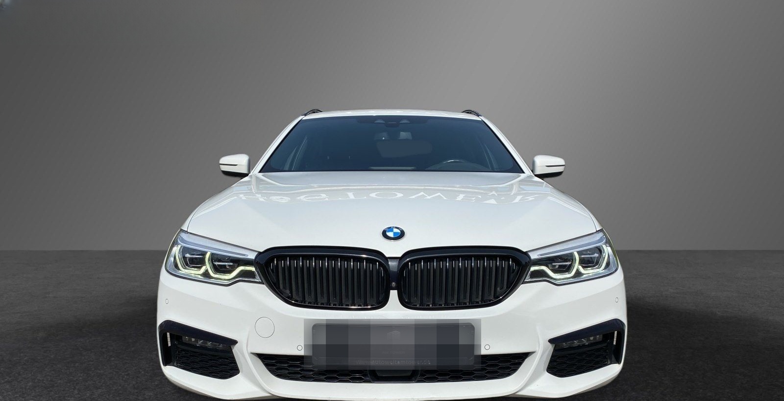 BMW 540d xDrive M-Sport DA+ PA+ Standhzg AHK foto 2