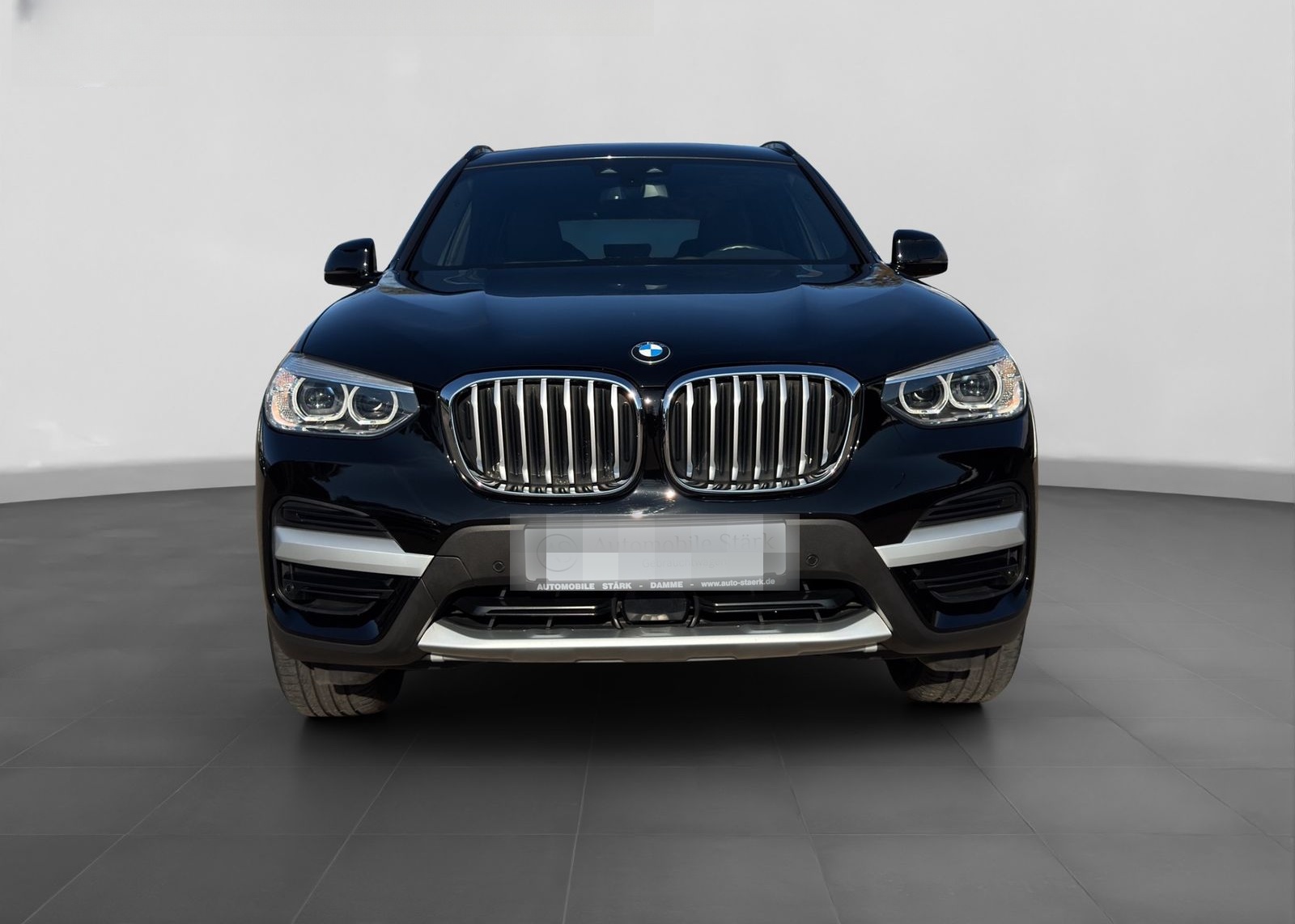 BMW X3 xDrive 20d xLine+LED+Kamera+Stop&Go+AHK foto 8