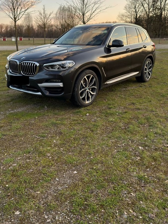 BMW X3 xDrive30d 360°-Kamera HeadUp foto 2