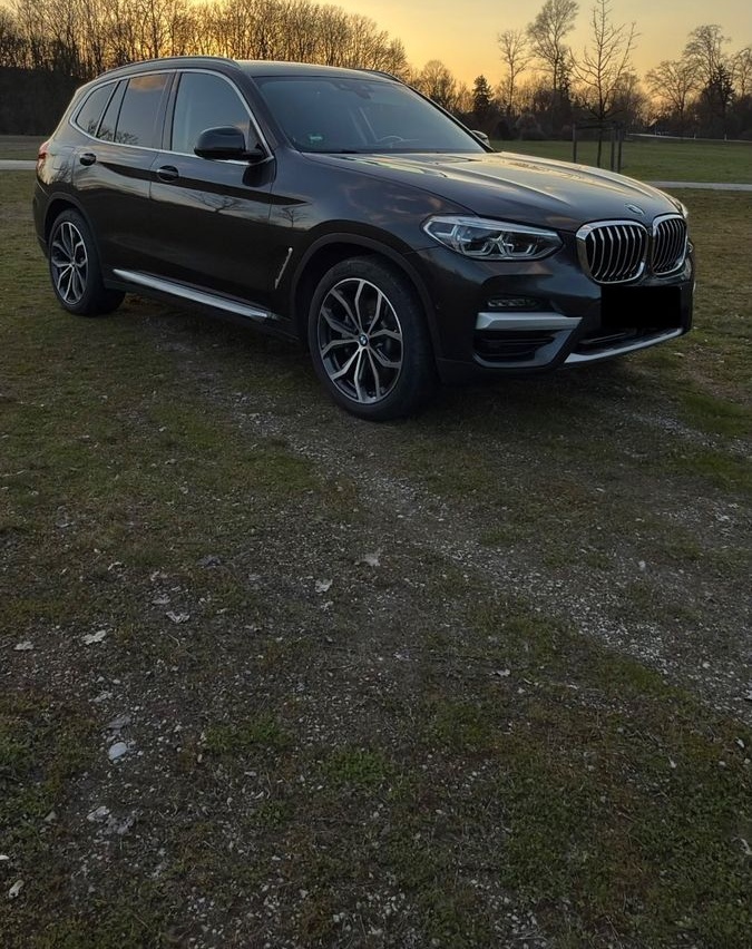 BMW X3 xDrive30d 360°-Kamera HeadUp foto 3