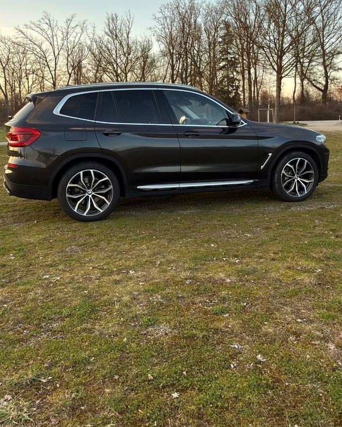 BMW X3 xDrive30d 360°-Kamera HeadUp foto 4