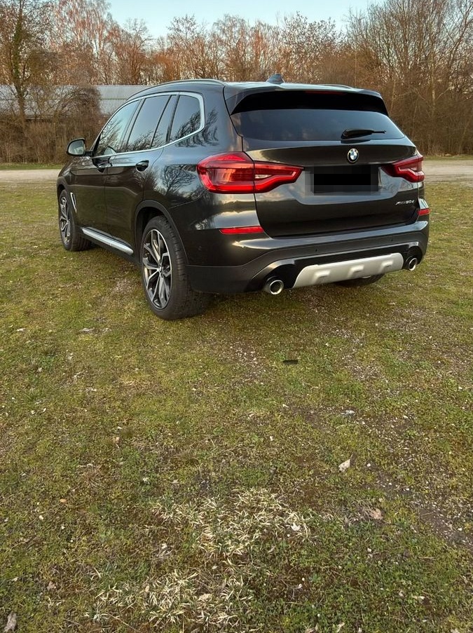 BMW X3 xDrive30d 360°-Kamera HeadUp foto 5