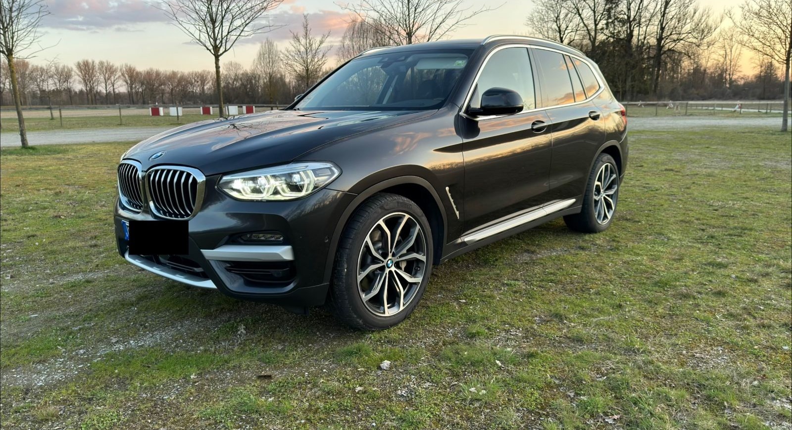 BMW X3 xDrive30d 360°-Kamera HeadUp foto 6