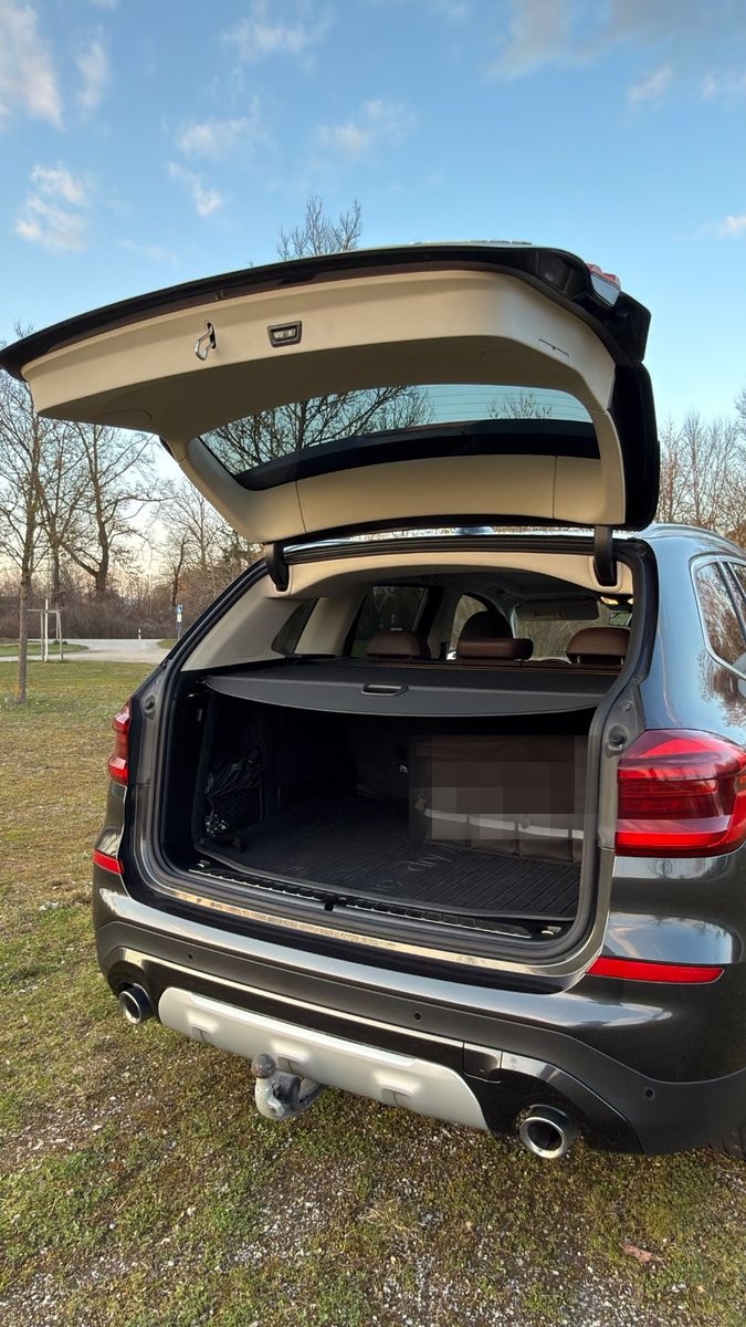 BMW X3 xDrive30d 360°-Kamera HeadUp foto 7