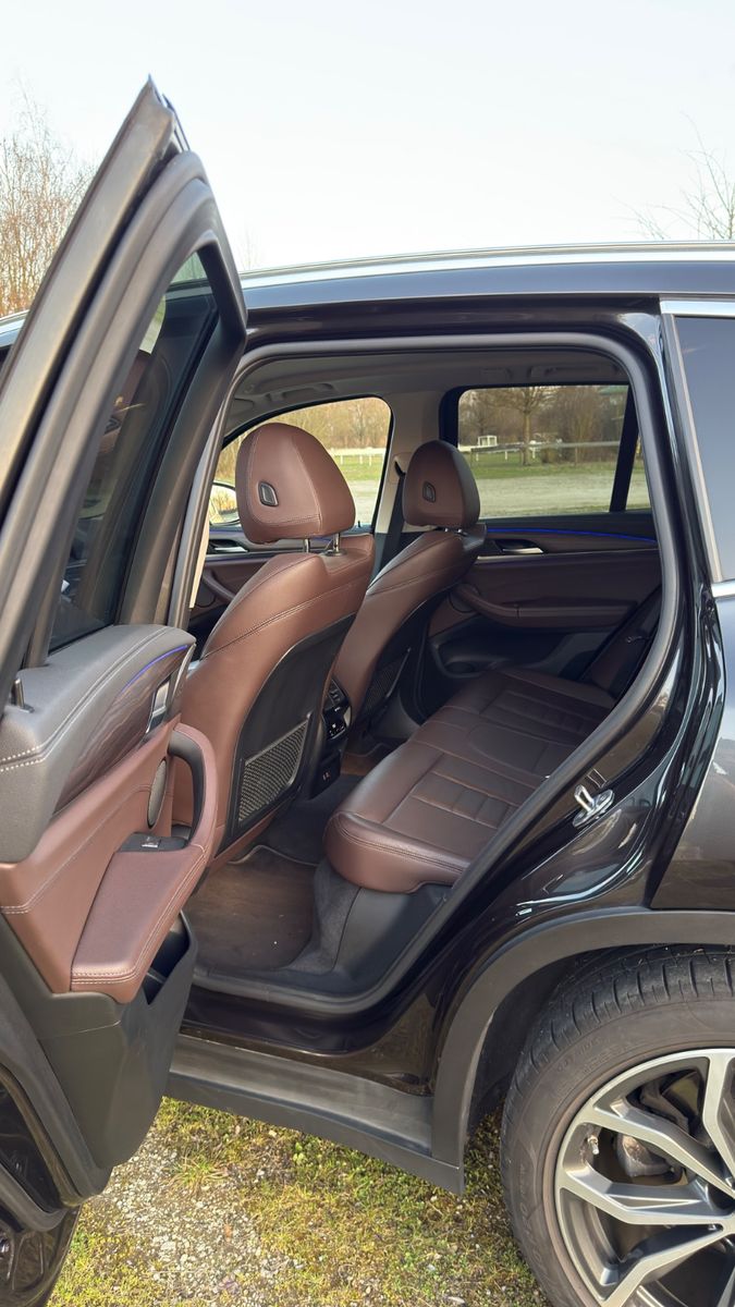BMW X3 xDrive30d 360°-Kamera HeadUp foto 10
