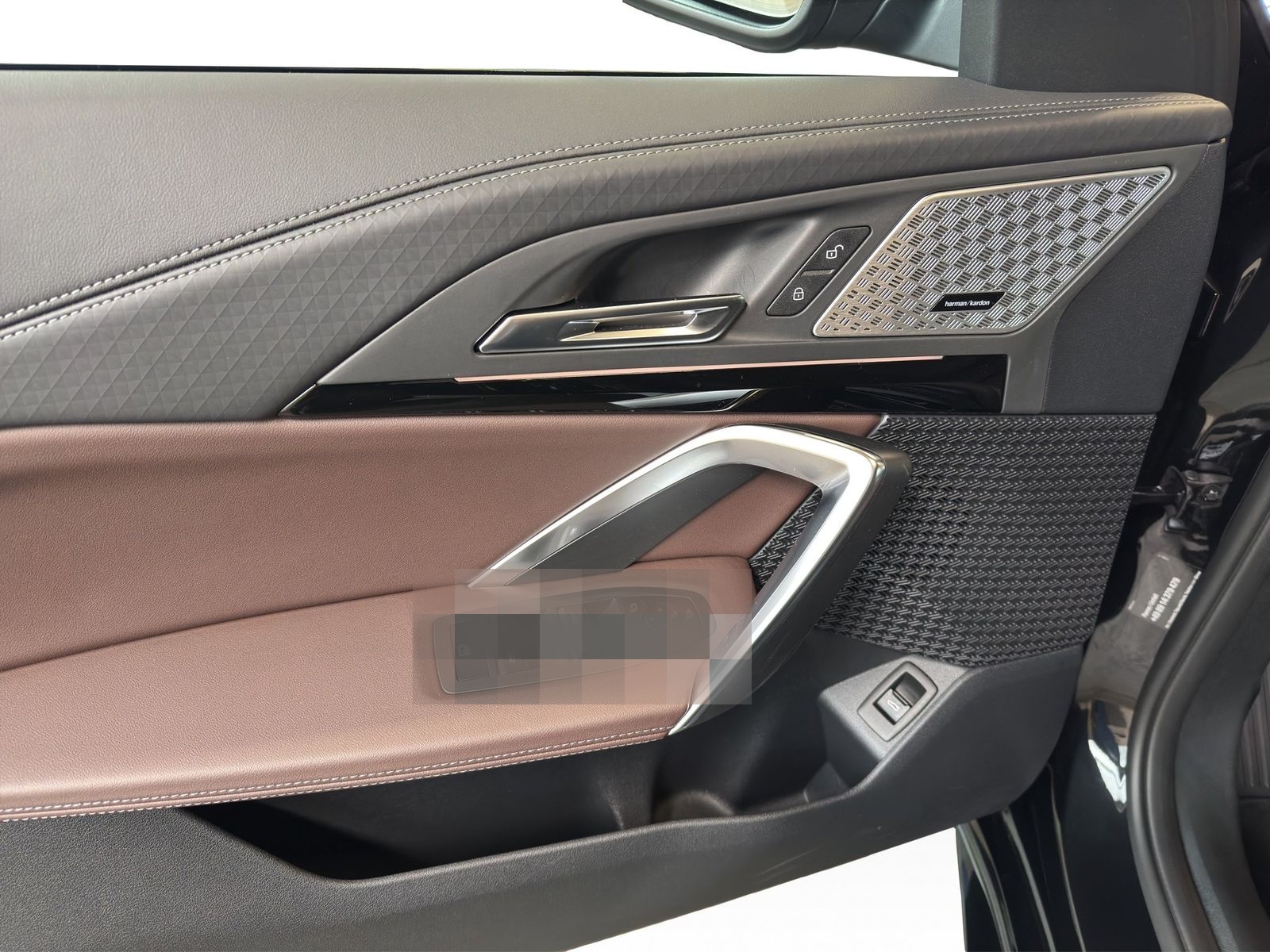 BMW X2 sDr20i M Sportpaket DrivAs/ParkAs+ AHK HiFi foto 14