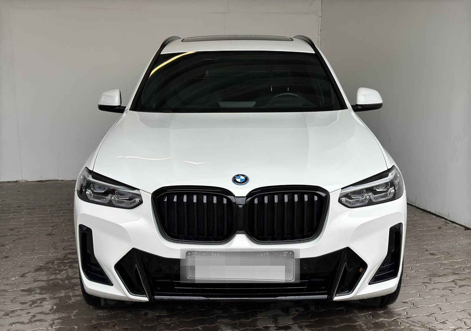 BMW X3 xDrive30e M Sport Navi.LED.HUD.PGD.ParkAss.SH foto 2