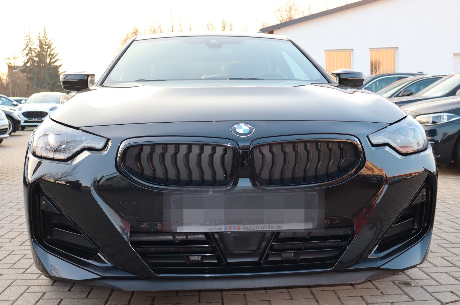 BMW M240i xDrive Steptronic Coupé foto 5