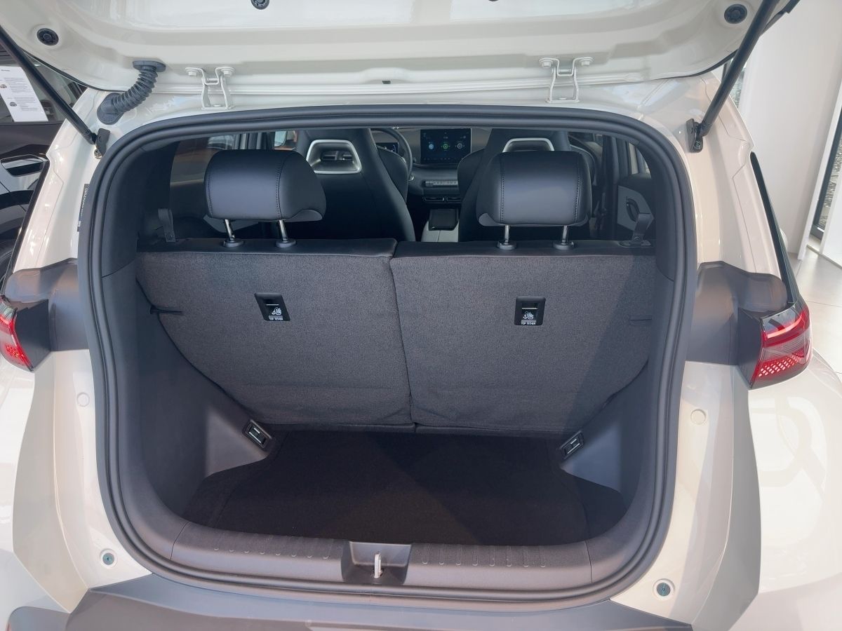 BYD DOLPHIN SURF Boost foto 13