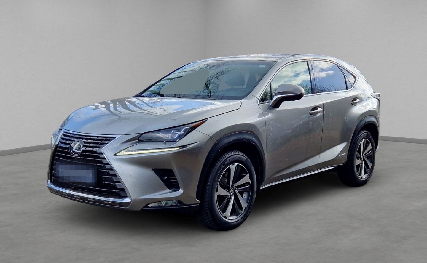 Lexus NX 300h E-Four Luxury Pano Memory Sitze 360 Kame