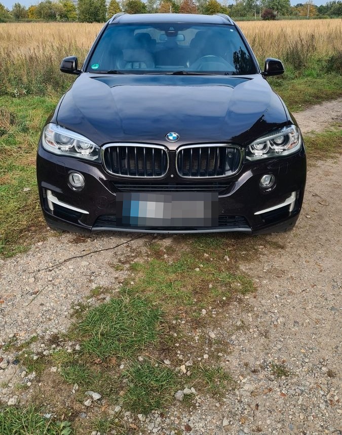 BMW X5 xDrive30d HeadUp NightVision AHK 360° Kamera  foto 2