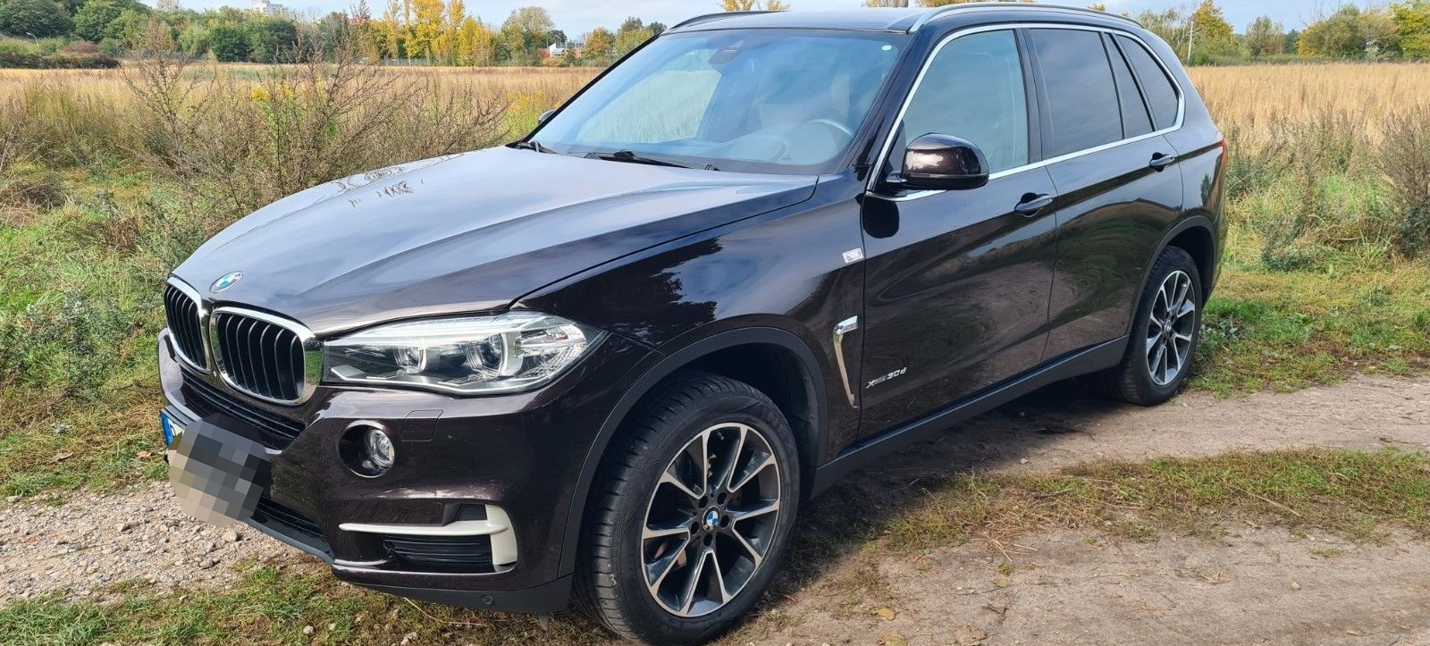 BMW X5 xDrive30d HeadUp NightVision AHK 360° Kamera  foto 3