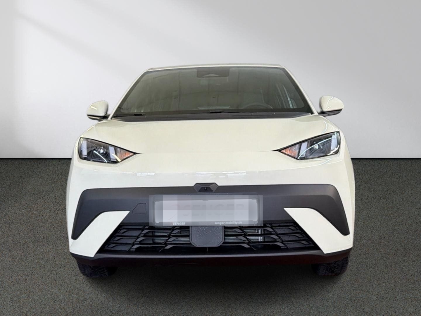 BYD Dolphin Surf Comfort Leder ACC LED Carplay 360°K foto 4