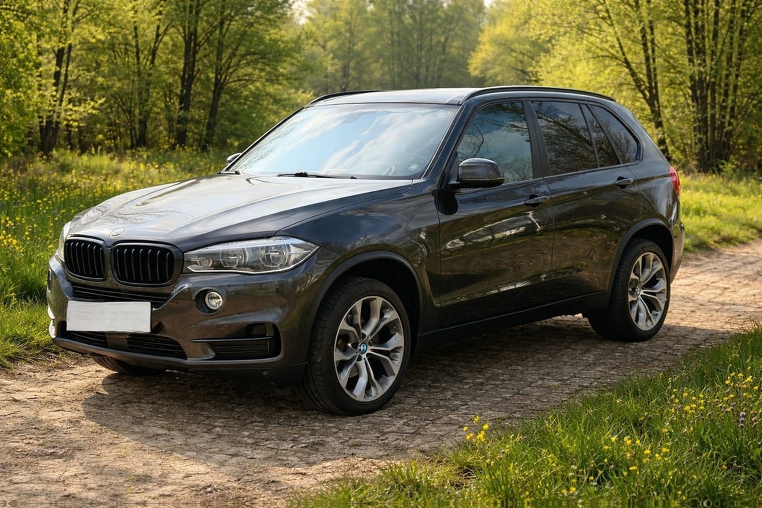 BMW X5 xDrive30d F15  GARANTIE bis 10/2026  TO foto 2