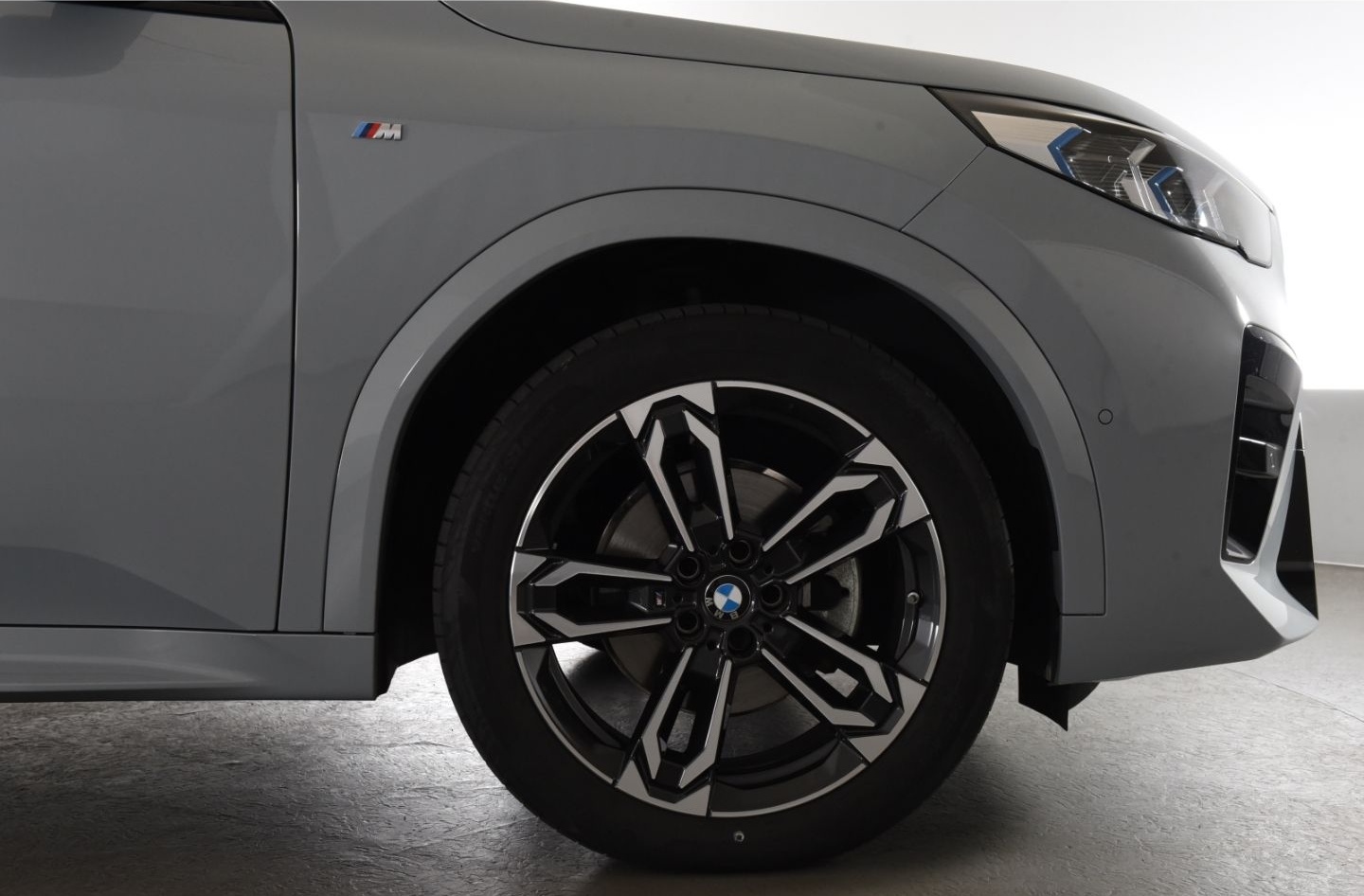 BMW X2 xDrive 20d M Sport Iconic Glow Parking Assist foto 6