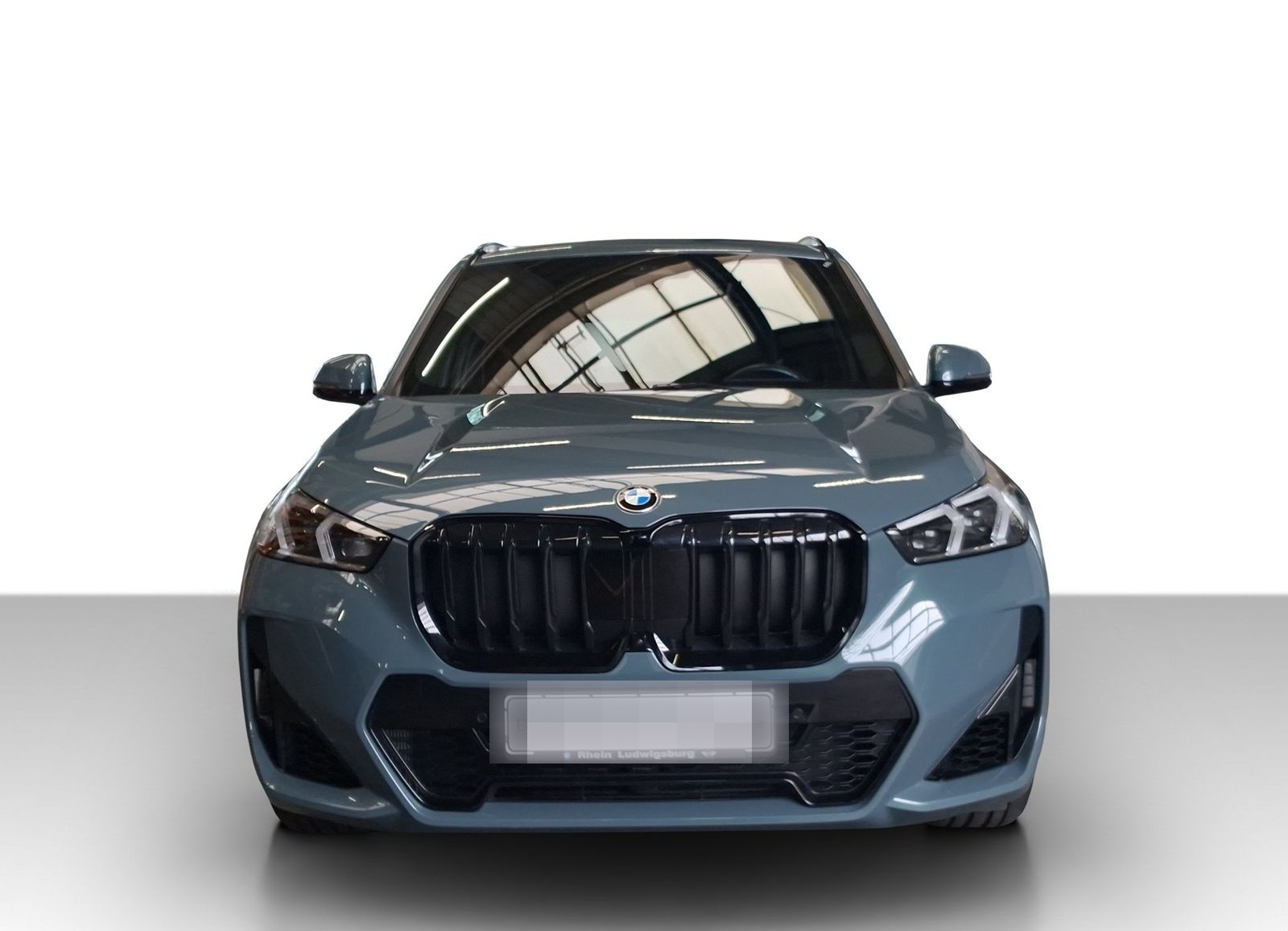 BMW X1 xDrive23i M Sportpaket Park/DrivAs+ AHK LED foto 4