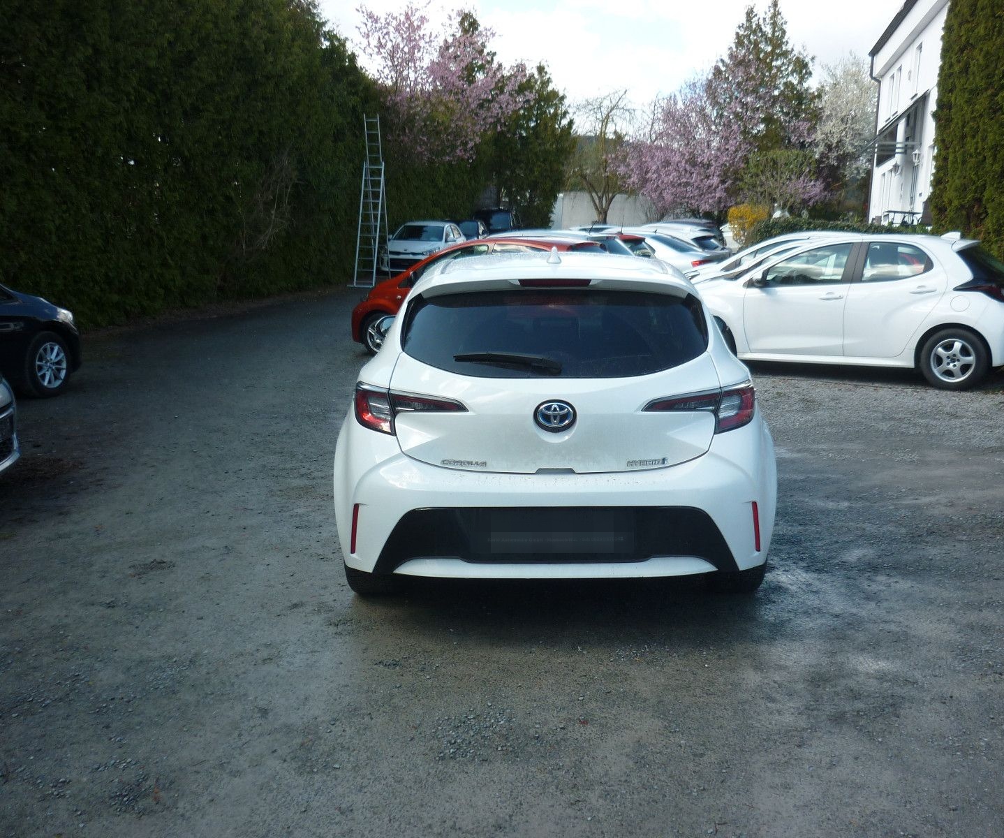 Toyota Corolla Hybrid Team D* Sitzheizung* Navi*AHK foto 5