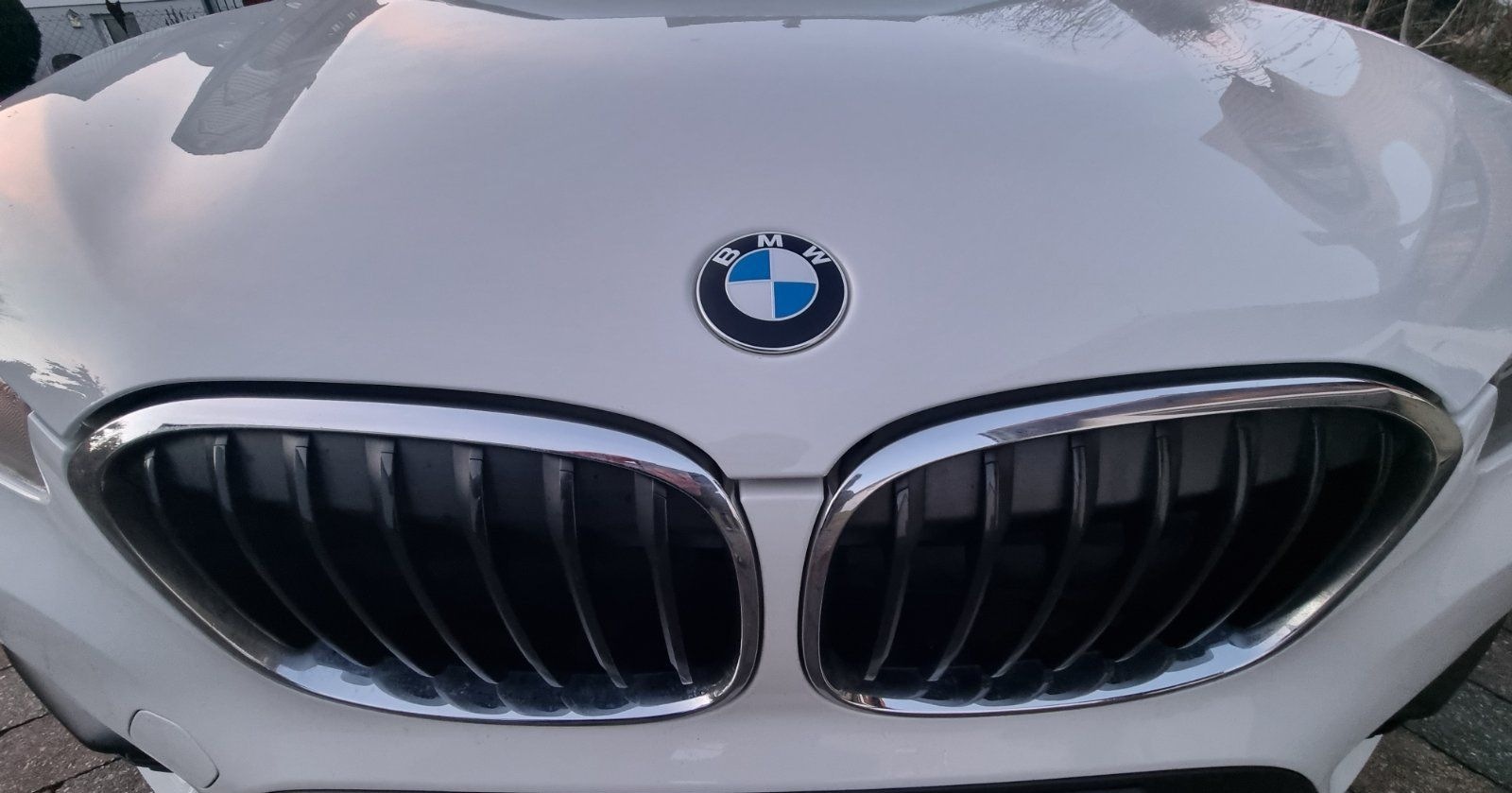 BMW X1 xDrive20i Avantage foto 7