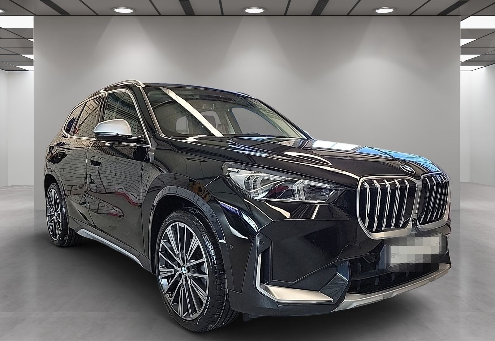 BMW X1 xDrive23d Driv.Assist.Prof Harman/K Head-Up foto 2